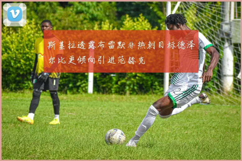 斯基拉透露布雷默非热刺目标德泽尔比更倾向引进范赫克
