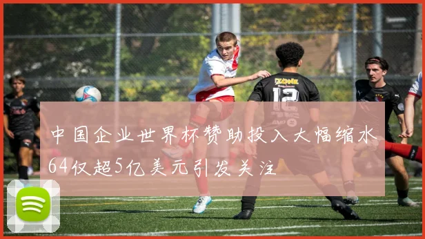 中国企业世界杯赞助投入大幅缩水64仅超5亿美元引发关注
